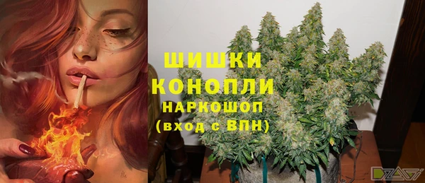 таблы Богородицк